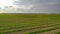 Large field with tree in Po Valley, Italy