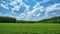 A large field with trees and clouds in the sky, AI