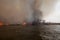 Large fire on Volga River in Astrakhan region. Russia.  Burning reeds, grass, and trees. Fire destroys all living things in its