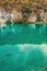 Large fish swim on one of the Plitvice lakes. Surprisingly clean and transparent lakes of Croatia. A truly pristine and wonderful