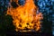 A large flame from burning wood piled in a woodpile, against the background of the forest and the blue sky