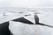 Large floes have broken in the frozen sea in cloudy weather