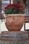 Large flower pot with burgundy chrysanthemums. Sale of flowers