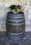 Large flower pot with white chrysanthemums.