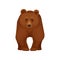 Large forest bear standing on four paws, front view. Big brown grizzly. Cartoon character of mammal animal. Flat vector