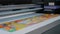 Large format colorful printing - UV digital flatbed printer during work