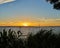 Large format in high resolution Panoramic sunset in the Albufera of Valencia. Spain