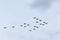 Large formation of JAS 39 Gripen fighter jets