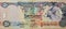 Large fragment of obverse side of 50 AED fifty Dirhams banknote of United Arab Emirates that features the Arabian Oryx