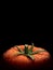 Large fragment of ripe tomato covered with water drops