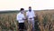 Large frame with a businessman and a farmer in the middle of a corn field affected by drought.