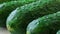 Large fresh cucumbers