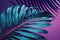 A large fresh palm leaf on a duotone purple-violet-blue. Illustration AI Generative