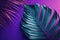 A large fresh palm leaf on a duotone purple-violet-blue. Illustration AI Generative