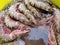 Large fresh raw Jumbo prawns are piled up for sale.