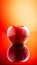 Large fresh red apple on red background gala schnico brookfield mema devil must