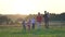 A large friendly family walks across the field at sunset.