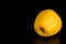 Large fruit of ripe yellow quince on black background