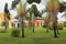 Large garden with green lawn and giant palms. In the background colorful housing constructions