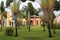 Large garden with green lawn and giant palms. In the background colorful housing constructions