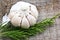 Large garlic and green sprout cut in the autumn garden. Background texture of gray wood