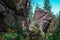 Large geometric stone rocks overgrown with light green yellow moss in light of sun with shadows in forest,trees. Krasnoyarsk