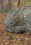 Large Glacial Erratic