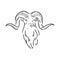 Large goat horns screwed shape from back, sketch vector drawing in graphic style on white background