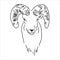 Large goat horns screwed shape from back, sketch vector drawing in graphic style on white background