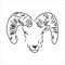Large goat horns screwed shape from back, sketch vector drawing in graphic style on white background