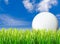 Large golf ball, grass & sky