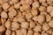 Large grains of chickpea in studio Macro