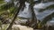 Large granite boulders are piled on a tropical island.