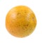 Large grapefruit