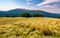 Large grassy meadow of Carpathians