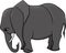 Large gray african elephant without decorate