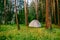 A large gray family tent stands on a green meadow in a pine forest in the summer