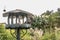 A large gray pigeon is sitting in a feeder in a city park. The trees of the park are visible in the background.