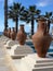 Large Grecian urns by palm trees