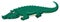 Large green crocodile white background