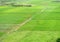 Large green farm land