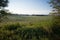 Large Green Farmers Field In The Countryside