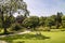 Large green lawn area for picnics in an English park.