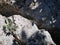 A large green lizard sits on a gray stone and basks in the sun on a Sunny summer day. The fauna of the Crimea, mount AI-Petri.