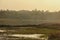 A large green marshy wetland