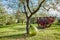 Large green oil or wine bottle near olive tree on a Tuscan farm