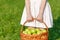 Large green ripe apples in a wicker basket at the end of summer in sunlight in the green grass in the garden