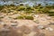 Large green stones on the sea, sand and lettering summer. Thailand. Samui. Gulf of Thailand. Lamai beach