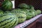 Large green striped watermelons. Fruit background on the counter in the market. Common watermelon Citrullus lanatus