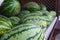 Large green striped watermelons. Fruit background on the counter in the market. Common watermelon Citrullus lanatus